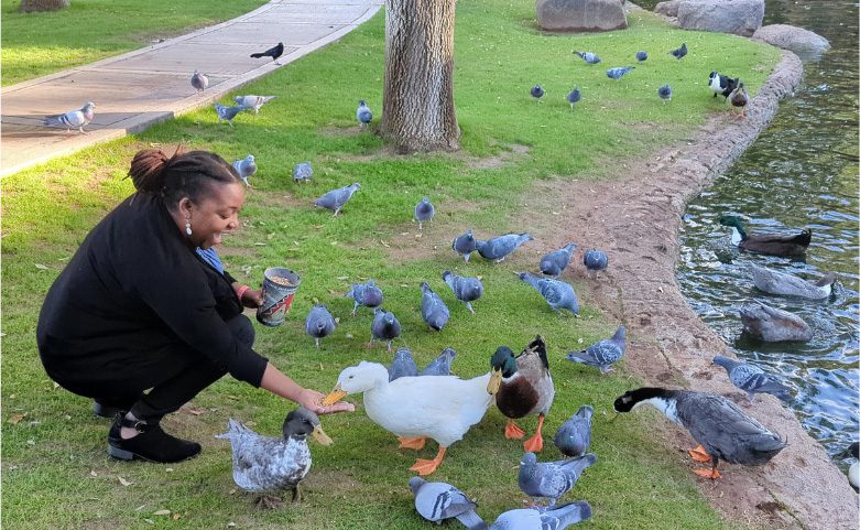 Staff member feeding ducks near a pond